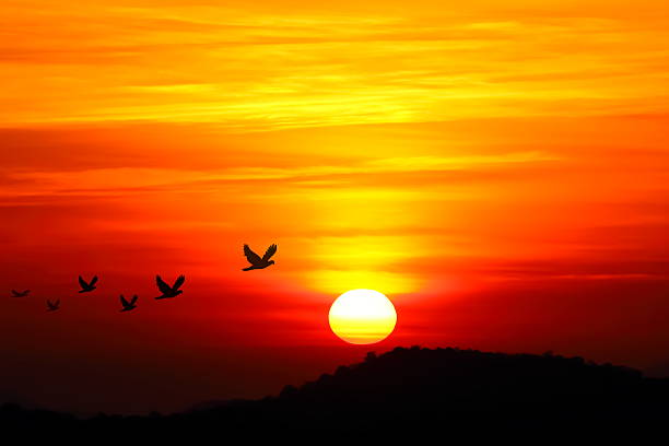 istock Scenic beautiful sunrise view on the mountain. 620956342