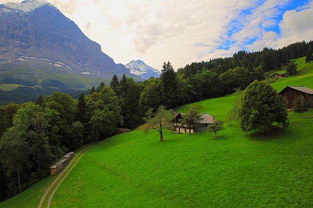 jungfrau et eiger au-dessus des fermes: paysage alpin, grindelwald, alpes suisses - snow european alps house grindelwald photos et images de collection