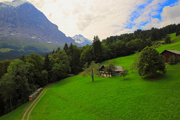 jungfrau e eiger acima de fazendas: paisagem alpina, grindelwald, alpes suíços - interlaken mountain meadow switzerland - fotografias e filmes do acervo