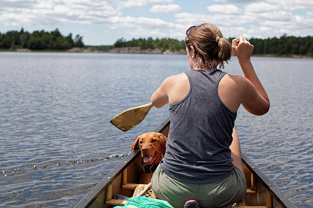 Canoe Dog stock photo
