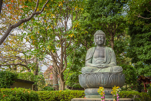 Tokyo, Japan - November 12, 2015: Buddha sitting on a lotus flower at the Sensoji Temple (Asakusa Kannon Temple) in the Asakusa district in Tokyo.  Buddha is Emblem of spirituality, and the place and the environment are very zen.