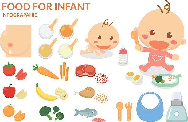 ilustrações, clipart, desenhos animados e ícones de alimentos para crianças. - chicken baby chicken animal egg animal