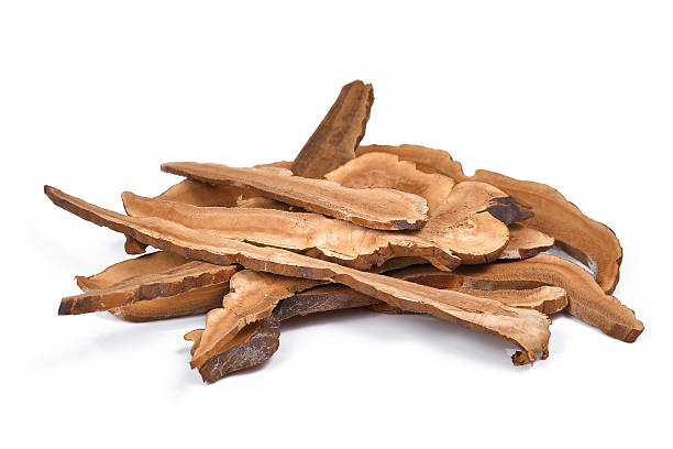 istock Dried lingzhi mushroom isolated on white 620965992