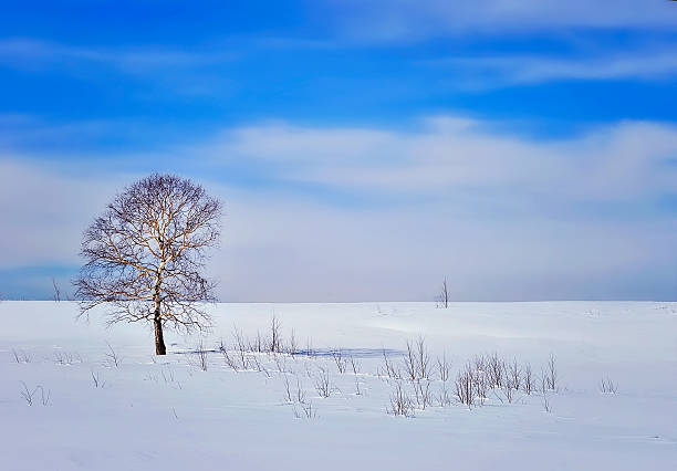 istock Beautiful winter landscape 620967760