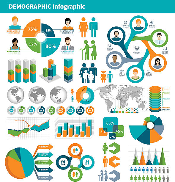 Tricolor infographic elements on gray background Vector illustration of the demographic infographic. demographics infographics stock illustrations