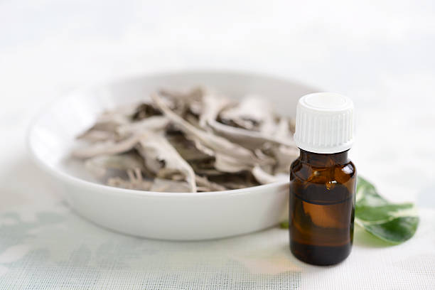 istock Essential oil with Dried white sage 620970562
