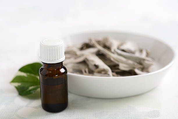 istock Essential oil with Dried white sage 620970682