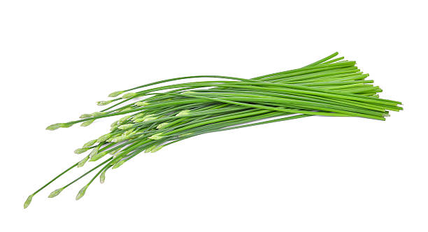 istock fresh chinese chives isolated on white 620970826