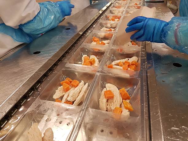 Factory Food Manufacturing High speed ready meal manufacturing in a food factory – single portions of chicken and butternut-squash curry vegetable factory stock pictures, royalty-free photos & images