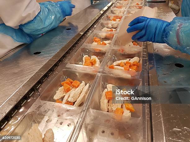 Factory Food Manufacturing Stock Photo - Download Image Now - Factory, Food, Food Processing Plant