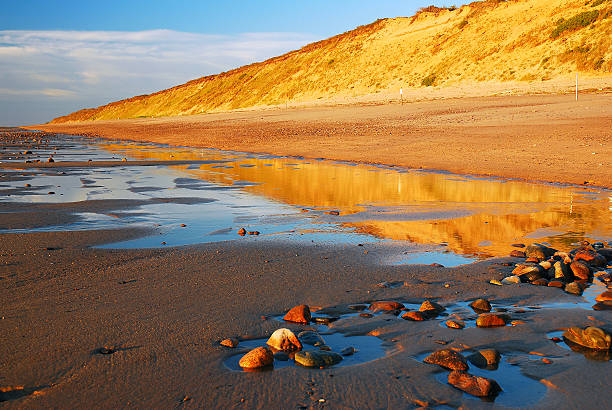 모래 언덕의 첫 번째 조명 - cape cod national seashore 뉴스 사진 이미지