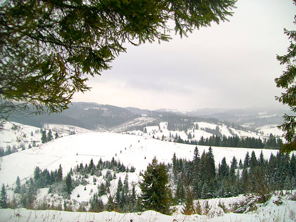 istock View on the winter Carpathians in Ukraine 620980580
