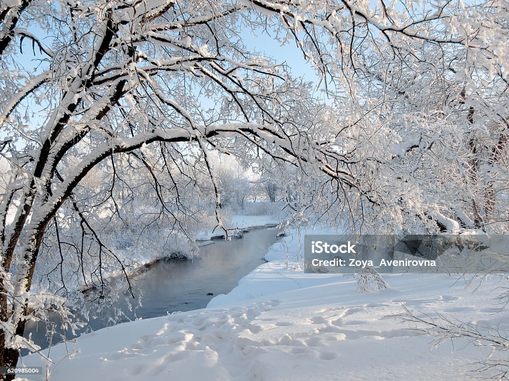 Macias de neve - Foto de stock de Exterior royalty-free