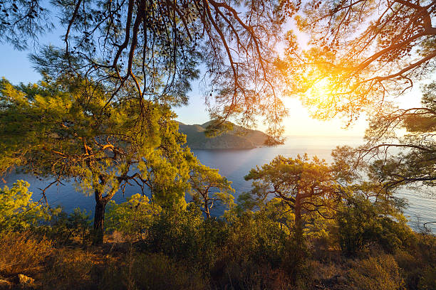 Turkish landscape, beach with green forest