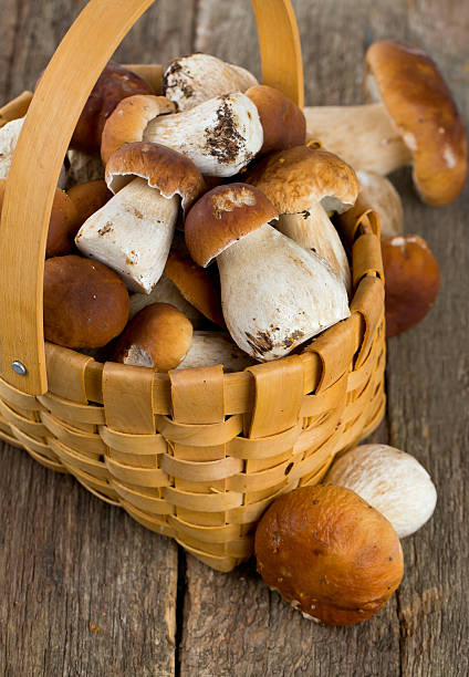istock boletus mushrooms in a basket on wooden surface 620989788