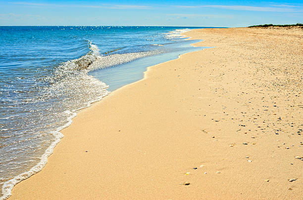 Sea waves washed clean beach made of shells Sea waves washed clean beach made of shells. Landscape on a wild beach. The sea in the summer. odessa beach stock pictures, royalty-free photos & images