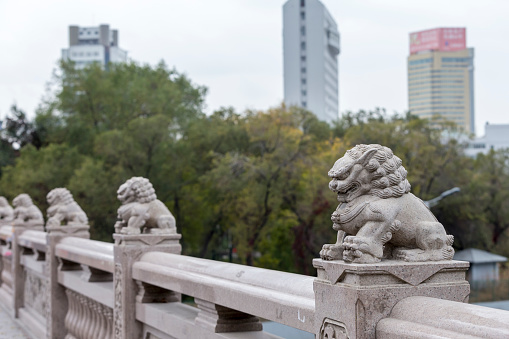 Urumqi, Xinjiang, China - October 14, 2016: Famous Xidaqiao on the background. Decored stone lion on the stone bridge. Office buildings on the background.