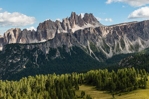istock larch tree forest at Croda da Lago in Dolomites 620990086