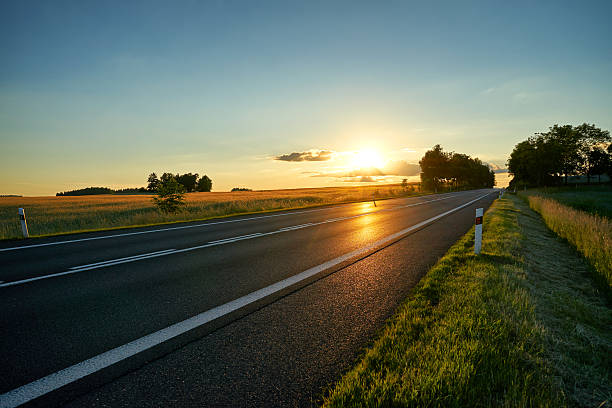 Empty asphalt road in a rural landscape at sunset. Empty asphalt road in a rural landscape at sunset. empty road with trees stock pictures, royalty-free photos & images
