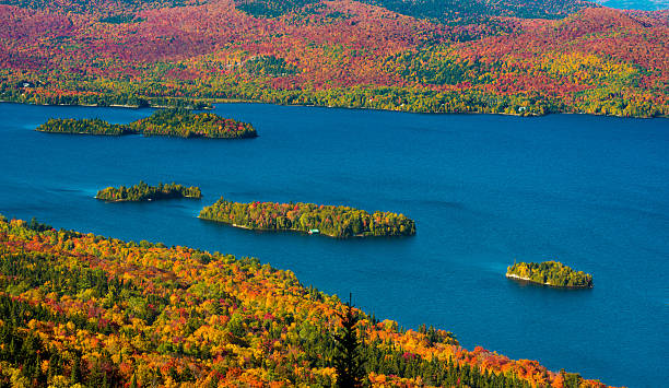 istock Lake view in autumn forest in daylight 620994062