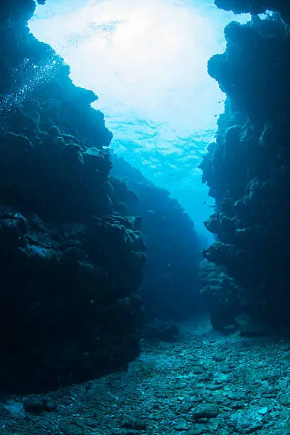 Photo of Underwater Channel