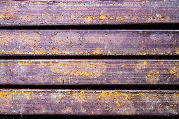 90+ Mold Behind Wall Stock Photos, Pictures & Royalty-Free Images - iStock