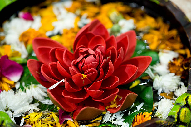 istock Close-up of flowers 621100630