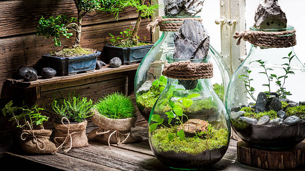 istock Wonderful jar with piece of forest with self ecosystem 621100816