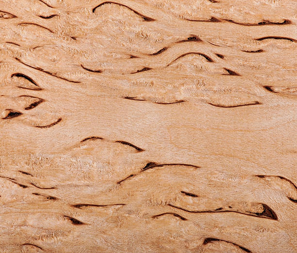 istock Background of birch wood, texture birch wood. 621104654