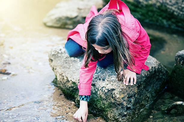 pretty little girl playing on a rock at the water's edge