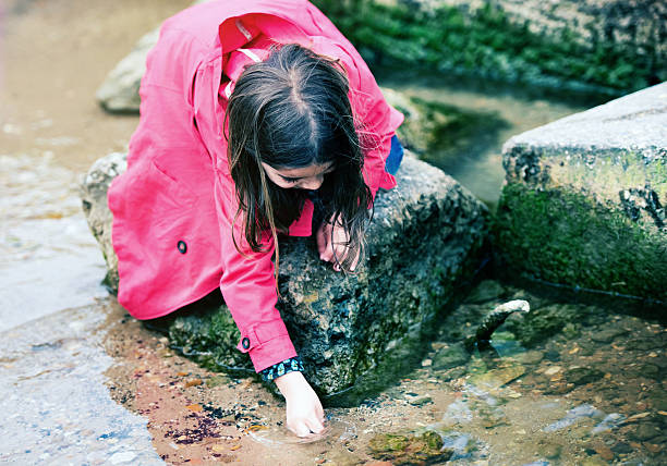 istock kid girl playing on a rock at the water's edge 621105490