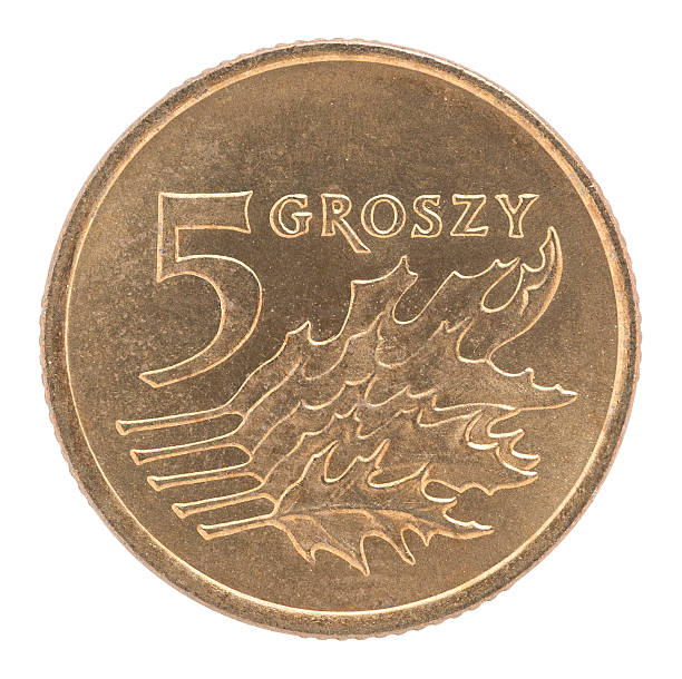 istock Five Polish groszy coin 621105574