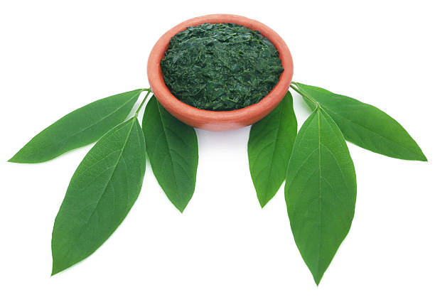 istock Medicinal pigeon pea leaves with ground paste 621107798