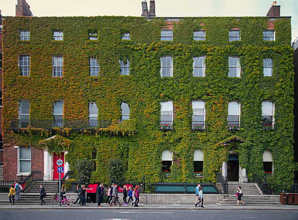 Dublin, Ireland - June 4, 2015: The beautiful facade of a building (in Georgian style) in St. Stephens Green, Dublin. The facade is entirely covered with ivy. It is morning and some people is walking on the pavement on the side of the street. A pink bicycle is tied to a pole. 