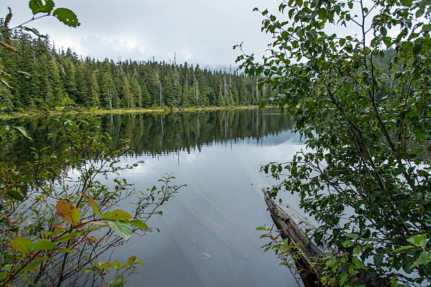 istock Lake near Whistler, Canada 621108118