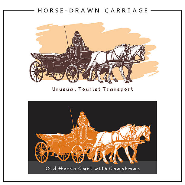 illustrazioni stock, clip art, cartoni animati e icone di tendenza di carrozza trainata da cavalli. carro trainato da cavalli con cocchiere e due cavalli. - horsewhip