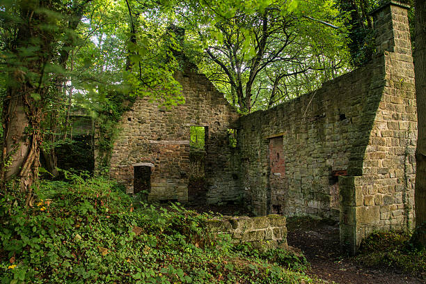istock Spooky old ruined derelict building in thick forest landscape 621109808
