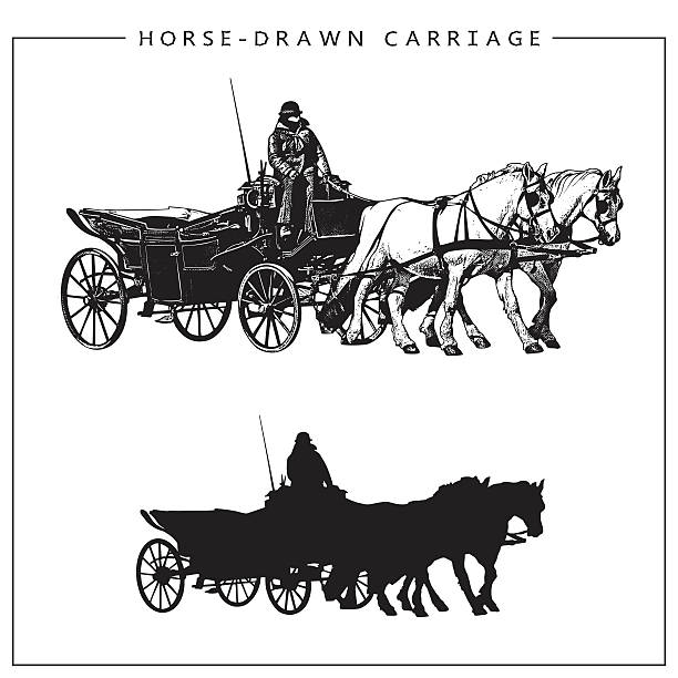 pferdekutsche. pferdewagen mit kutscher und zwei pferden. - horsewhip stock-grafiken, -clipart, -cartoons und -symbole