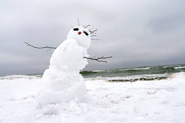 istock crazy, melting snowman on a winter beach 621109886