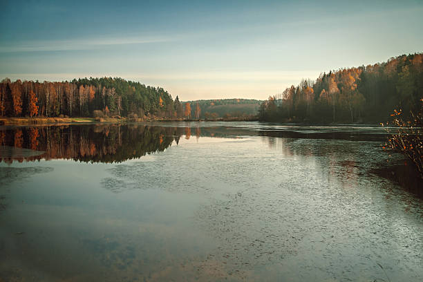 Morning forest lake landscape.