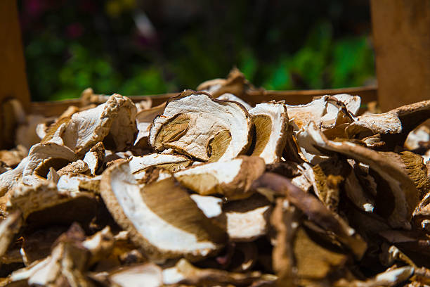 istock Dried Penny Bun mushrooms 621115822
