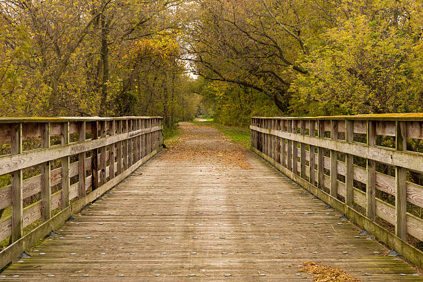 istock Bike Trail Bridge In Autumn 621119918