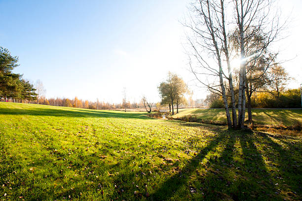 istock Beautiful autumn in city park 621123484