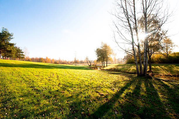 istock Beautiful autumn in city park 621123598