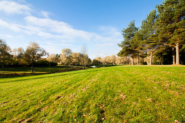 istock Beautiful autumn in city park 621124412