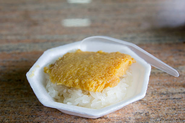 istock Traditional sticky rice and thai custard on foam plate background 621124630