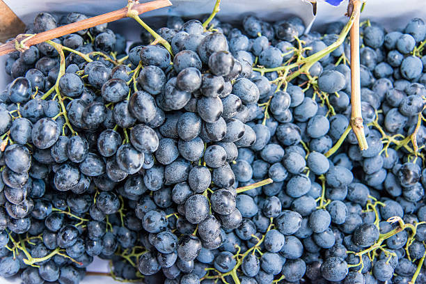 istock Black grapes in market 621124698