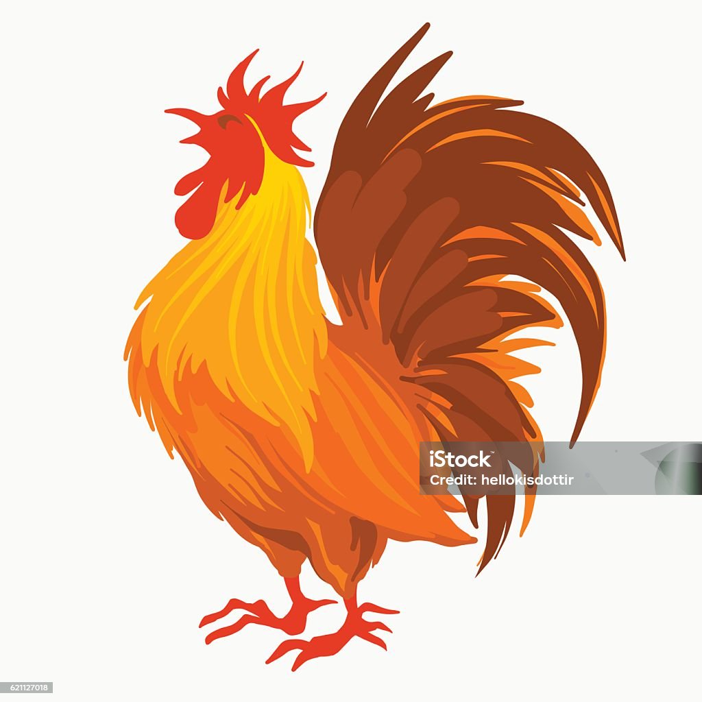 Red Rooster Vector Vector Illustration Of The Red Rooster Stock Illustration - Download ...