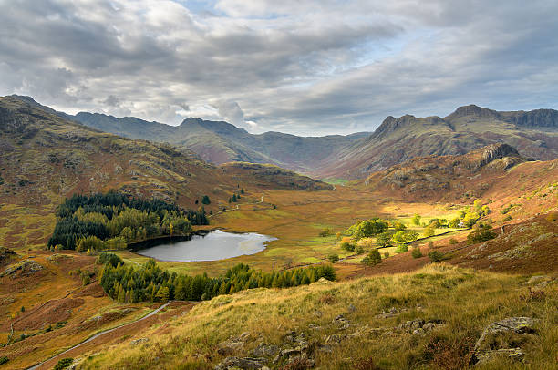 Blea Tarn, Lake District Panoramic view over Langdale pikes and Blea Tarn in Lake District, UK langdale pikes stock pictures, royalty-free photos & images