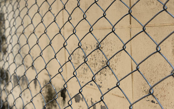 istock Fence from steel mesh on grunge cement wall backgroud 621128736